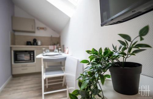 Old Town Apartment | Cassia - Face Gare De Tours