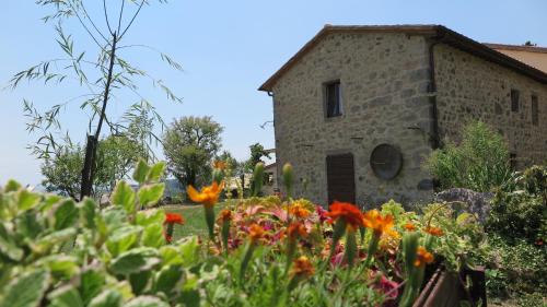 Abbadia San Salvatore Bed & Breakfast | CASTAGNA DULCIS