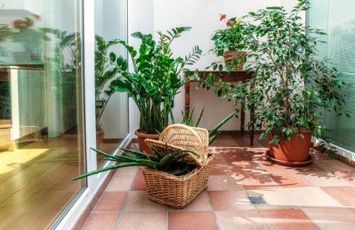 Novazzano Bed & Breakfast | Castello di Brusata Apartment by Quokka 360 - romantic flat with pool