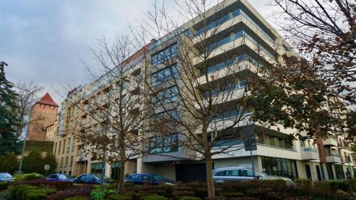 Brzezinka Apartment | Castle Apartments - King