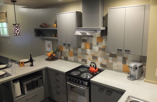 Hamilton Apartment | Casual Contemporary Apartment in the Historic Downtown Wesley Building.