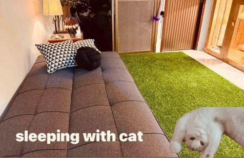 Hat Yai Apartment | cat hotel hatyai cat only