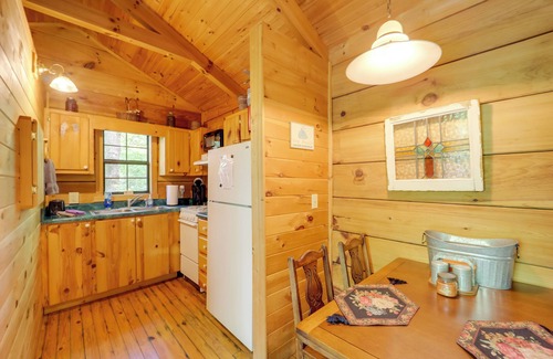 Vein Mountain Cabin | Cataloochee Ski Day Trips! Hot Tub Haven in Marion