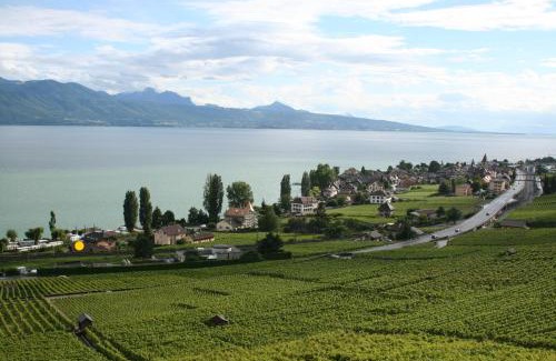 Cully House | Cave de Moratel