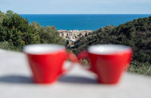 Moglio Apartment | Cecilia's Olive Tree