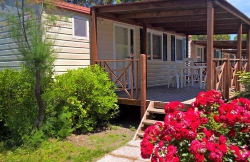 Marina di Cecina House | Cecina Mare by Interhome