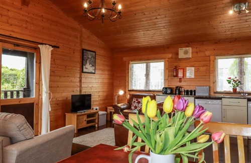 Bodmin House | Cedar Lodge