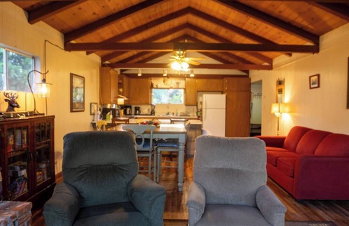 Camp Nelson Cabin | Cedar Pine Cottage - Cozy - Retro - Secluded - Cabin
