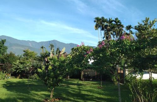 Fenglin Bed & Breakfast | Celine's B&B