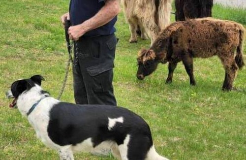 Freedom RV Rental | Celtic Glen Farm Stay - Shaded corn cribsn