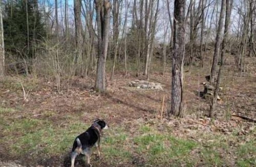 Freedom RV Rental | Celtic Glen Farm Stay - Shaded corn cribsn