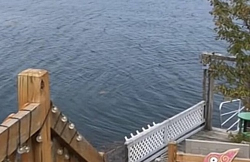 Sebascodegan Island House | Centerview cottage