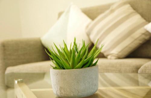 Hamilton Lake Apartment | Central Lake Hamilton