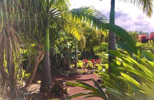 Kailua-Kona House | Central Oceanview Modern Cozy 3 Bed House