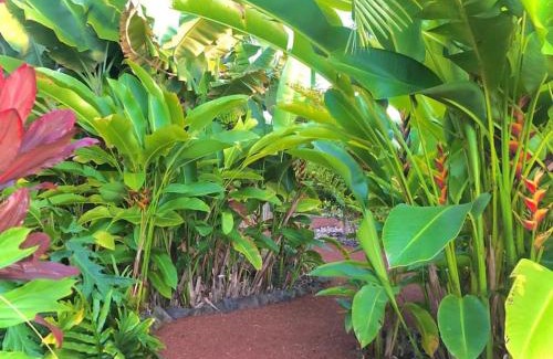 Kailua-Kona House | Central Oceanview Modern Cozy 3 Bed House