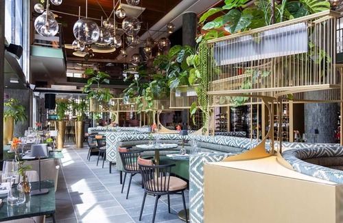 Kralingen-Crooswijk House | Central Rotterdam Boutique Stay Near Slaakhuys, Shopping & Cultural Hotspots