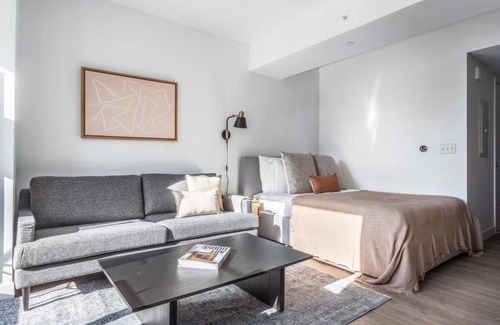 Central Square Apartment | Central Sq Studio w Gym Doorman WD Roof BOS-313