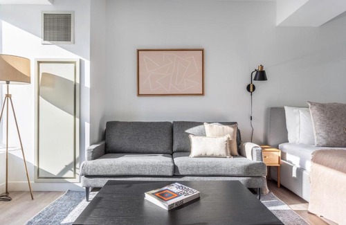 Central Square Apartment | Central Sq Studio w Gym Doorman WD Roof BOS-313