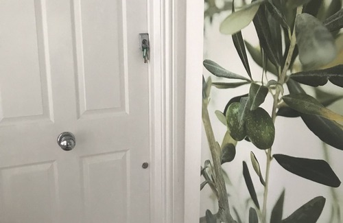 Shaftesbury Apartment | Centrally located Garden Flat