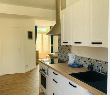 La Fleche Apartment | Centre ville (1) : superbe appartement climatisé