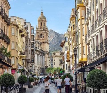 Jaen Apartment | Centro Catedral Carrera 27, 1 plaza de aparcamiento y NETFLIX gratis