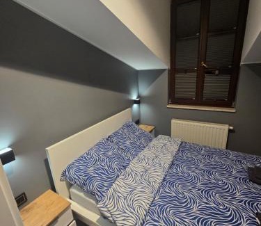 Radom Apartment | Centrum Jacuzzi prywatny parking klimatyzacja 5