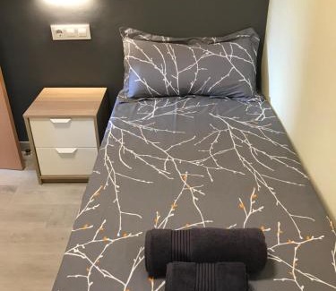 Cerdanyola del Valles Apartment | Cerdanyola centro