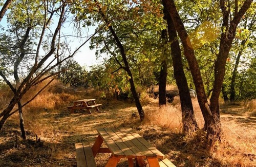 Pinehurst RV Rental | CG05 Medium 30X40 ft. Campsite/Shower - Kings Canyon & Sequoia NP