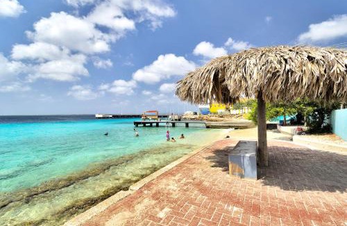 Playa Apartment | Chachacha Ocean View Apartment on the Sea