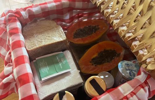 Canela Ski Chalet | Chalé Refúgio Panorâmico Aconchegante