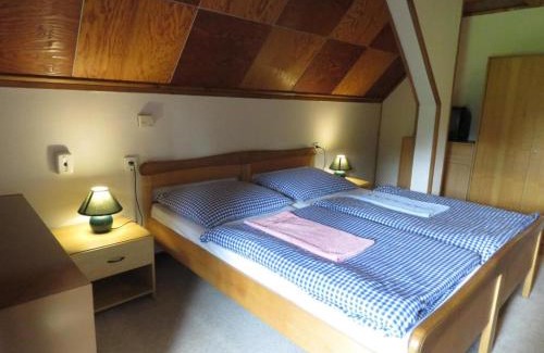 Rokytnice v Orlickych Horach Ski Chalet | Chalupa Severka,Rokytnice v Orlických Horách