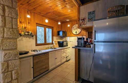 Basse-sur-le-Rupt House | Chalet 3 étoiles avec sauna près de La Bresse - FR-1-589-18