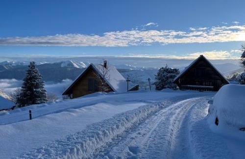 Saint-Lary-Soulan Apartment | Chalet 4 pers confort 100mdespistes St Lary 4 étoiles