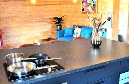 Oz-en-Oisans House | Chalet 800, cosy and luxury mountain chalet near Alpe d'Huez 4p