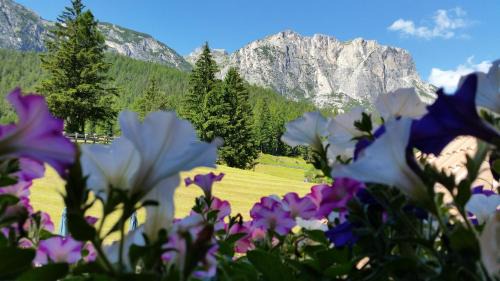 Pedraces Apartment | Chalet alla Cascata