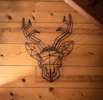 Soultzeren Ski Chalet | Chalet Anemone