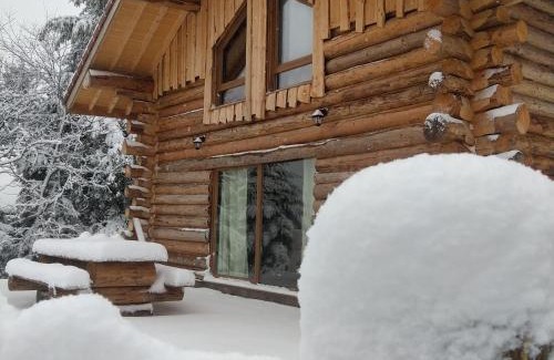 Anould House | Chalet Authentique en Forêt, 6 Pers, Proche Gérardmer, Sentiers & Stations de Ski - FR-1-589-378