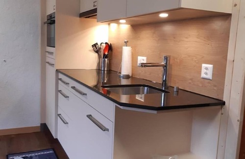 Grindelwald Ski Chalet | Chalet Burgstein, Studio Alpenrose