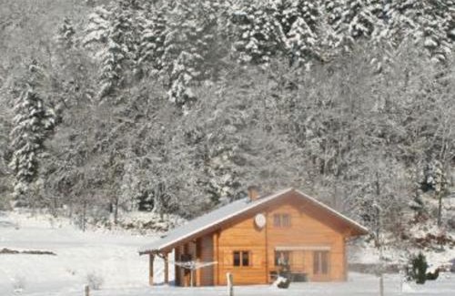 Vagney House | Chalet chaleureux avec terrasse, proche forêt et sentier, à 15 km des stations de ski de Gérardmer - FR-1-589-247