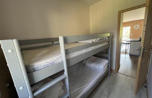 Laveissiere Apartment | Chalet cosy au pied des pistes avec parking privé - FR-1-787-114