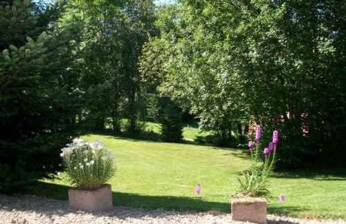 Anould House | Chalet de Montagne Chaleureux avec Cheminée, Terrasse et Proche Ski - FR-1-589-2