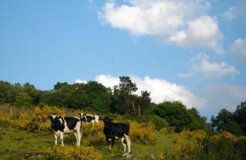 Anould House | Chalet de Montagne Chaleureux avec Cheminée, Terrasse et Proche Ski - FR-1-589-2