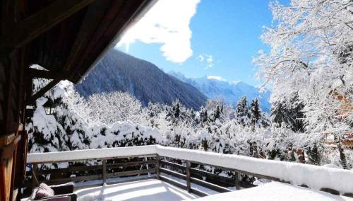 Argentiere Ski Chalet | Chalet Falcon With Hot Tub - in a great location!