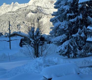 Cohennoz Ski Chalet | CHALET FAMILIAL AU PIED DES PISTES ET COMMERCES