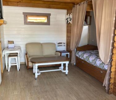 Le Teich Ski Chalet | Chalet