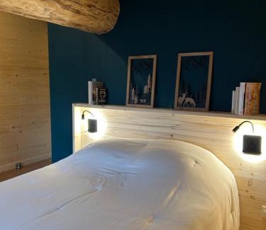 Saint-Michel-de-Maurienne Ski Chalet | Chalet des balcons