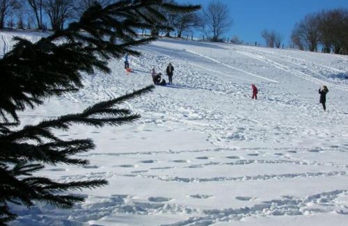 Saint-Nabord House | Chalet haut de gamme avec sauna, terrasse et jardin près de la montagne vosgienne - FR-1-589-185