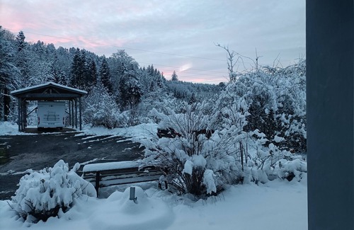 Anould Ski Chalet | Chalet Ida in its green setting between Gérardmer and Alsace