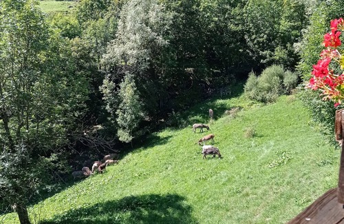 Acceglio House | CHALET IN THE UPPER MAIRA VALLEY - ACCEGLIO