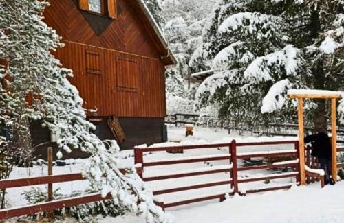 Seyne House | Chalet & jardin au coeur des montagnes alpines